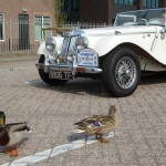 We had company at the ferry port We had company at the ferry port Holland 2011